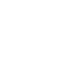 Logo Smart Kamera evoVIU